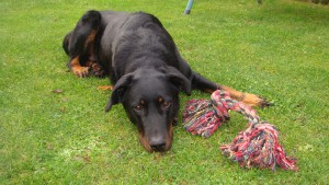 pohodářka Angelika